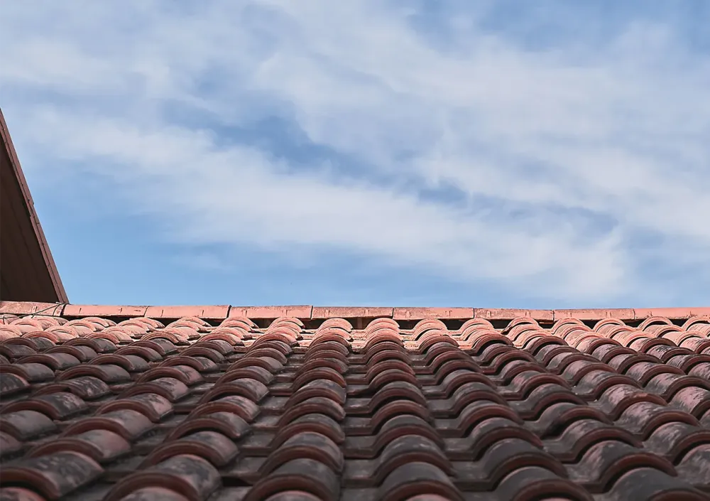 Démoussage près de Chalais