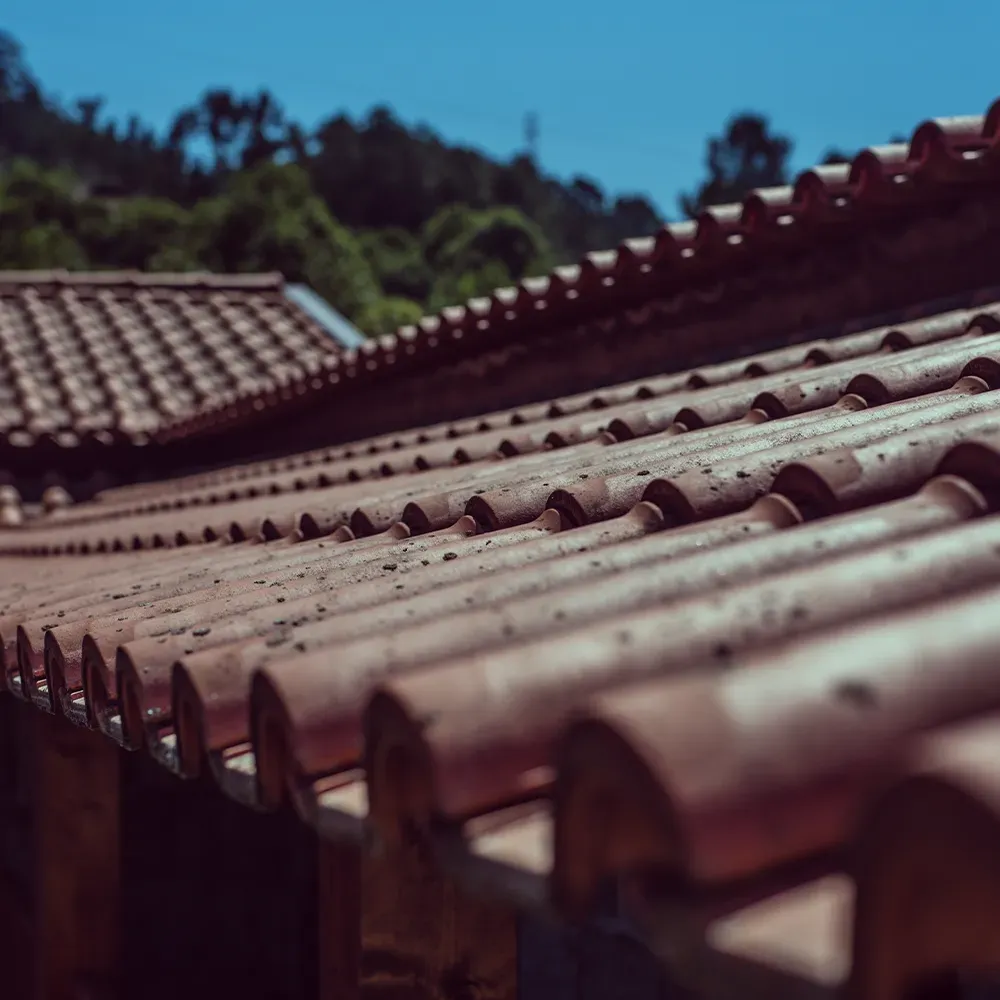 Couverture près de Chalais